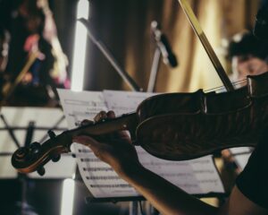 Read more about the article THE DECISION MAKING AND IMPLEMENTATION ORCHESTRA