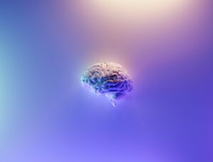 Read more about the article THOUGHTS ON THE CONNECTORS TO EXERCISE OF INDEPENDENT JUDGMENT IN CORPORATE GOVERNANCE