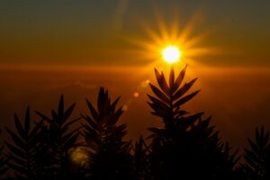 Read more about the article RECOGNITION… the sun and its rays in corporate governance
