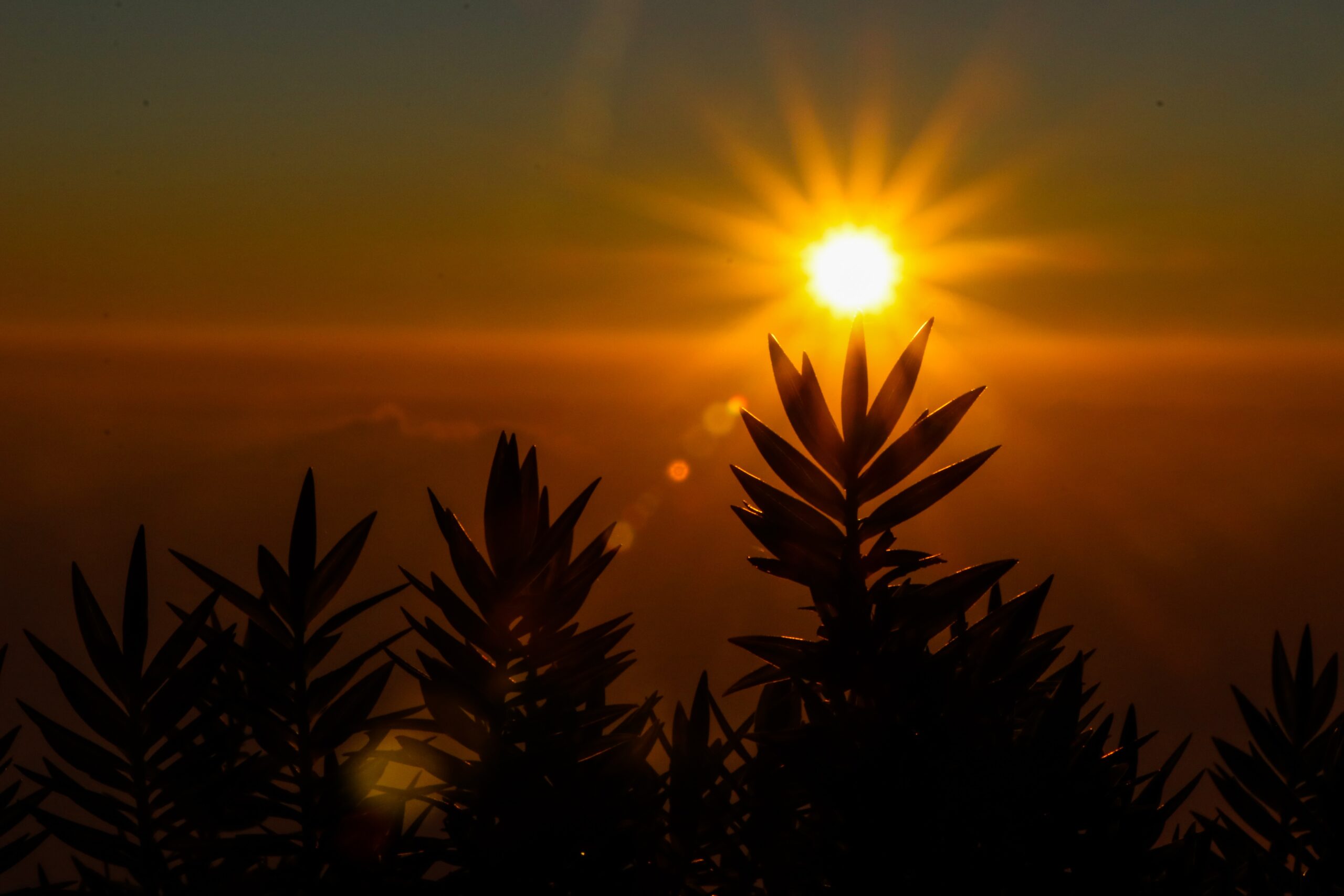 You are currently viewing RECOGNITION… the sun and its rays in corporate governance