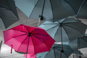 Read more about the article BRANDING AND BRANDISHING AMONGST CORPORATE GOVERNANCE ACTORS…