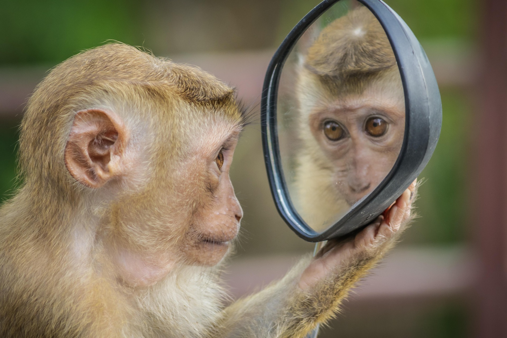 You are currently viewing THE CORPORATE “SOMEBODY” CATALOGUE…Awareness and self monitoring
