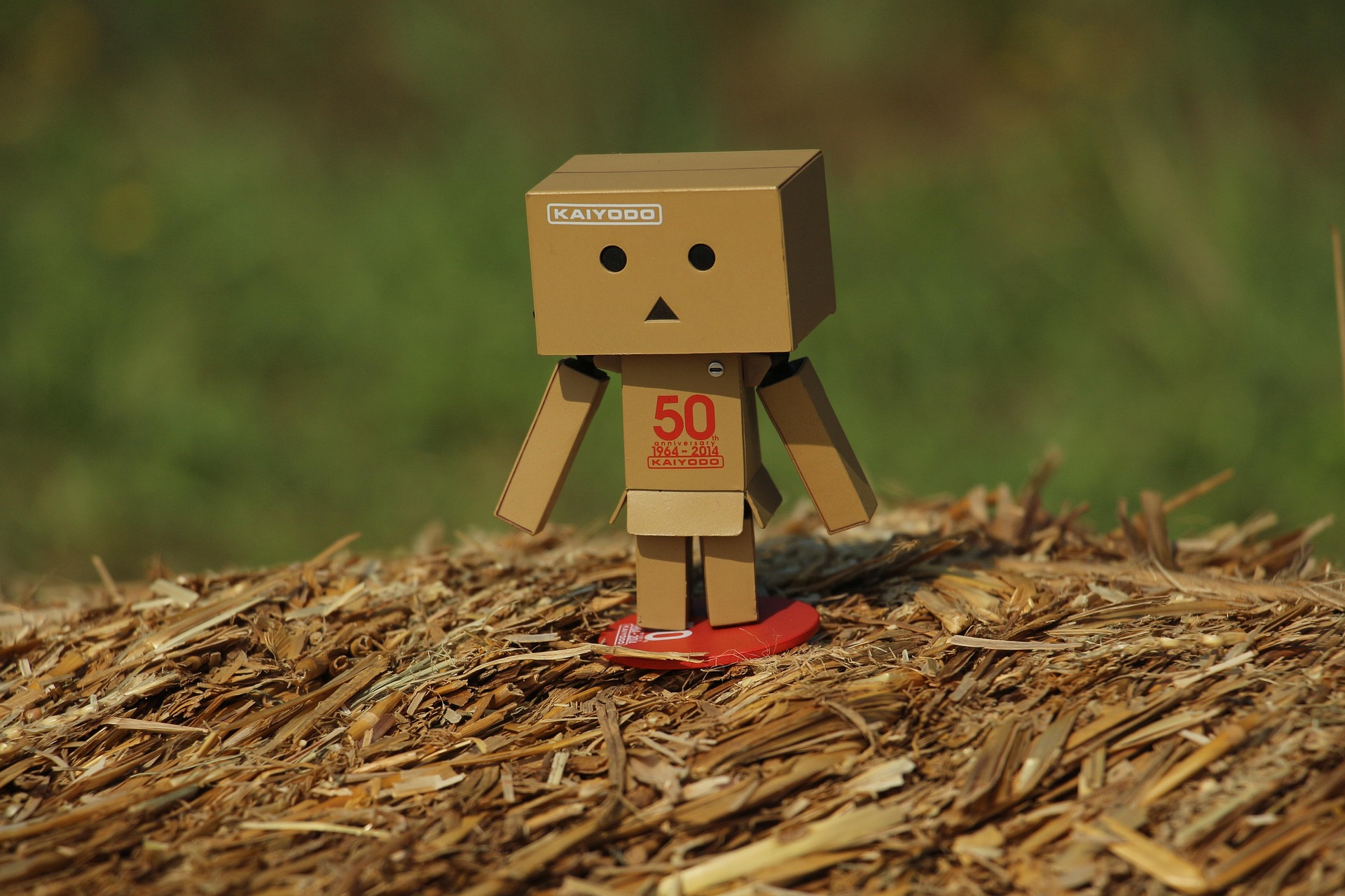 You are currently viewing LOSS OF MEMORY OR LACK OF CONSIDERATION?…which is it?