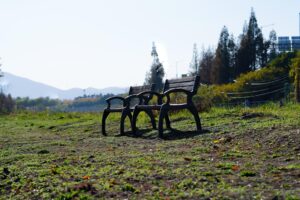 Read more about the article THE BUSINESS IN…  RESPONSIBILITY