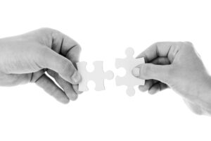 Read more about the article QUIET BUT ESSENTIAL PARTNERSHIPS… from the soft and subtle corner